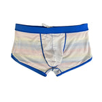 Men's Eco-Friendly Fabric Modern Cut Rainbow Striped Swim Trunks