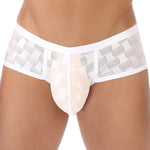 2 Pack Men's Sheer Grid Mesh Breathable Large U-Pouch Trunks