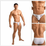 2 Pack Men's Sheer Mesh Low-Rise Sexy Ice Silk Briefs
