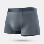 2 Pack Men's Anti-Bacterial Modal Trunks