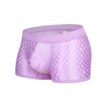 2 Pack Men's Sexy Transparent Mesh Trunks