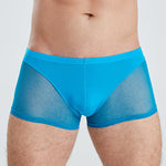 Sexy Panelled Mesh Trunks For Men