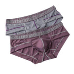 2 Pack Men's Ice-Silk Stretch Sports Briefs with 3D Pouch