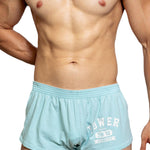 2-pack Men's DM Printed Lettering Low Waist Sexy Cotton Boxer Shorts