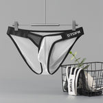 2 Pack Men's U-Pouch Sheer Mesh Briefs