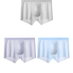 2 Pack Men's Ultra-Thin Seamless Trunks