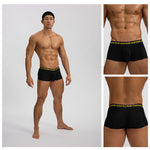 3 Pack Men's Seamless Ice Silk U-Pouch Low Waist Sexy Breathable Trunks