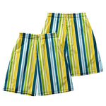 Men's Multicolor Stripe Leisure Swim Shorts