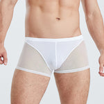 Sexy Panelled Mesh Trunks For Men