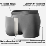 2 Pack Men's Anti-Bacterial Modal Trunks