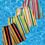 Men's Multicolor Stripe Leisure Swim Shorts