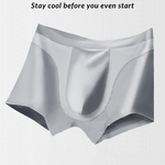 3 Pack Men's 3D Pouch Seamless Modal Trunks