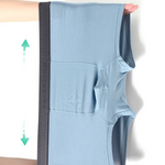 2 Pack Men's Anti-Bacterial Modal Trunks