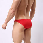 2 Pack Men's Breathable Ultra-thin Bikini
