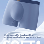 4 Pack Men's Seamless Antibacterial Boxers Briefs