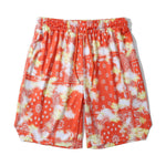 Men's Breathable Print Elastic Waist Beach Shorts