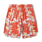 Men's Breathable Print Elastic Waist Beach Shorts