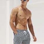 Men's Stripe Drawstring Swim Board Shorts