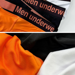 2 Pack Men's Stylish V-Shaped Waistband Briefs