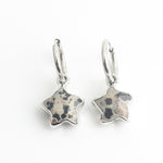 Starry Lovely Stone Earrings