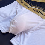 3 Pack Men's U-Shaped Large Pouch Breathable Comfortable Trunks