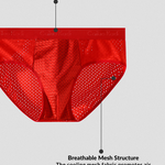 4 Pack Breathable Ice Silk Antibacterial Men's Briefs