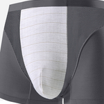 Men's Seamless Antibacterial Modal Trunk