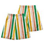 Men's Multicolor Stripe Leisure Swim Shorts