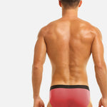 4 Pack Ice Silk Seamless Men's Briefs