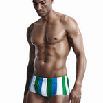 Mens Sexy Breathable Soft Stripe Swim Briefs