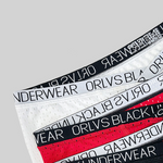2 Pack Men's Sexy V-shape Waistband Mesh Trunks