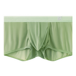 2 Pack Men's Breathable Mesh Trunks with Fly