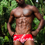 Men’s Sexy Low-rise Swim Trunks