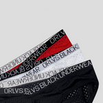 2 Pack Men's Sexy V-shape Waistband Mesh Bikinis