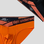 2 Pack Men's Stylish V-Shaped Waistband Briefs