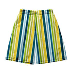 Men's Multicolor Stripe Leisure Swim Shorts