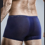 2 Pack Silk Striped Men's Super Thin Underwear