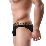 3 Pack Sexy Super Soft Ice Silk Men's Bikini