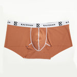 2 Pack Men's Modal Simple Skin-Friendly Trunks