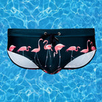 Men's Printed Low Rise Swim Briefs