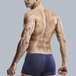 2 Pack Silk Striped Men's Super Thin Underwear