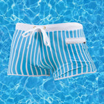 Mens Striped Quick Dry Lining Swim Trunks