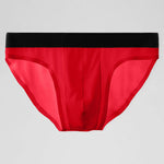 4 Pack Ice Silk Seamless Men's Briefs