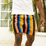 Men's Multicolor Stripe Leisure Swim Shorts