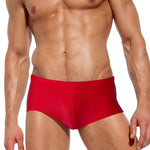 Men Breathable Sexy Low Rise Bikini Swim Briefs