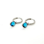 Dana Sleek Oval  Stone Earrings