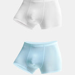 2 Pack Ultra-thin Cool Antibacterial Underwear