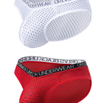 2 Pack Men's Sexy V-shape Waistband Mesh Bikinis