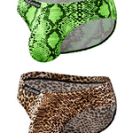 Men’s Sexy Leopard Print Pouch Briefs