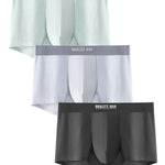 3 Pack Men’s Lightweight And Breathable Trunks